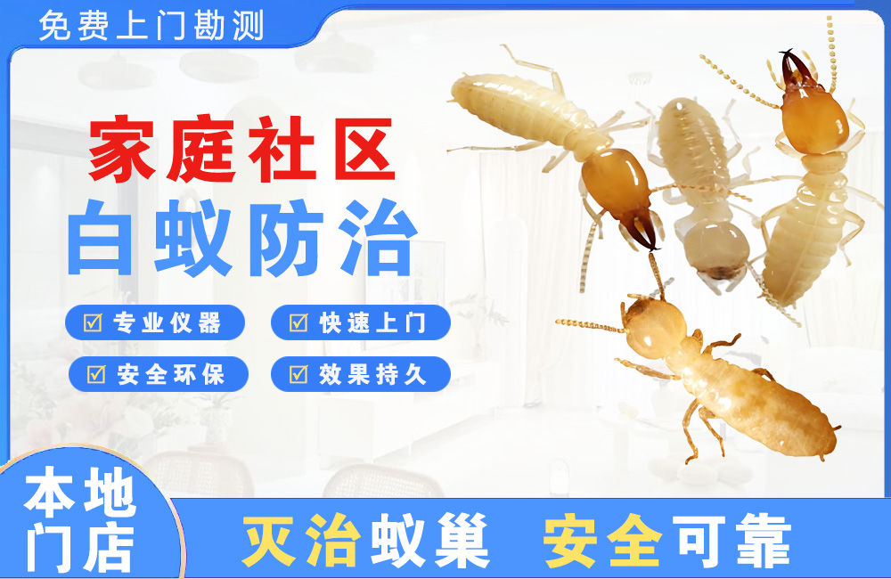 南充家庭社区白蚁防治