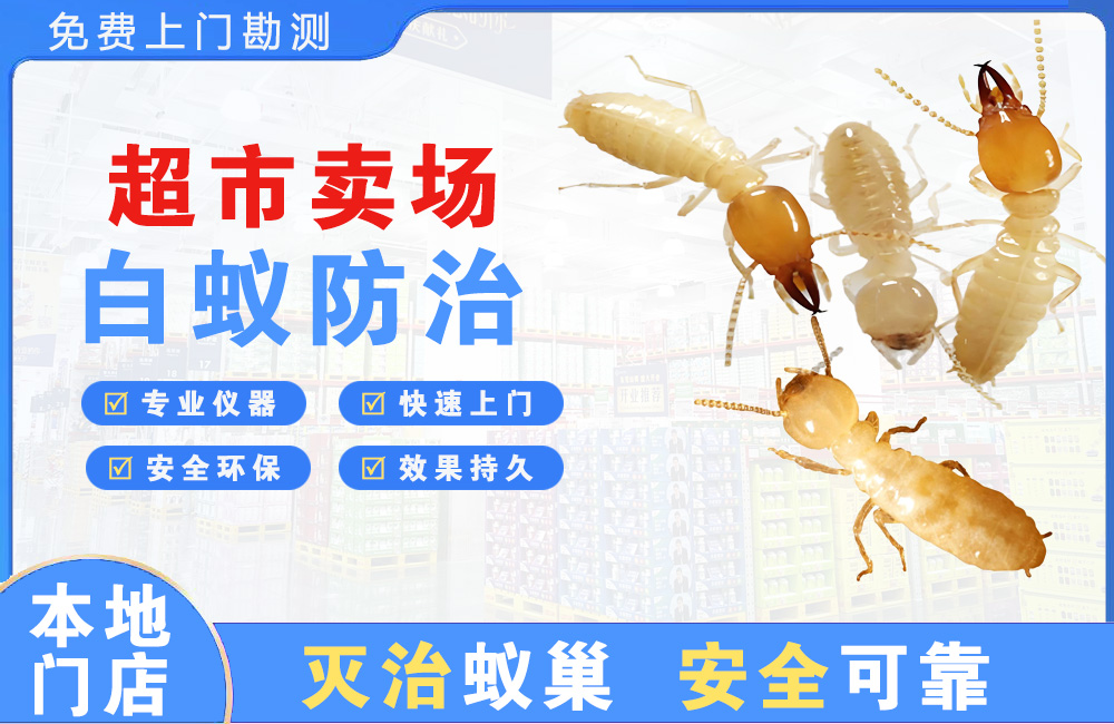 南充超市卖场白蚁防治