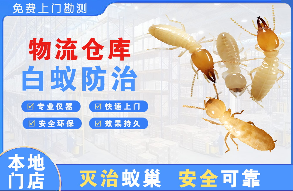 南充物流仓库白蚁防治