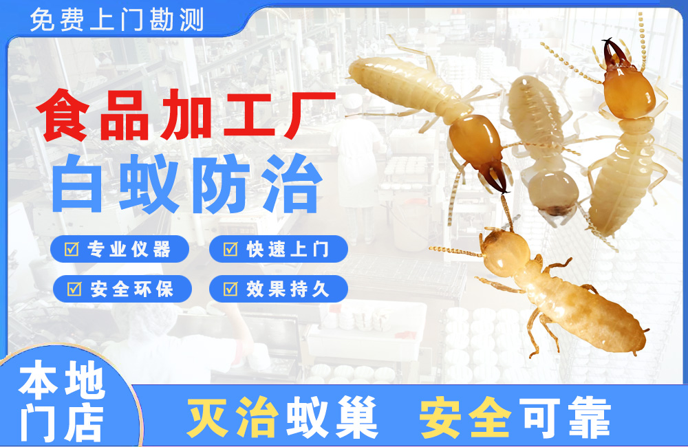 南充食品加工厂白蚁防治