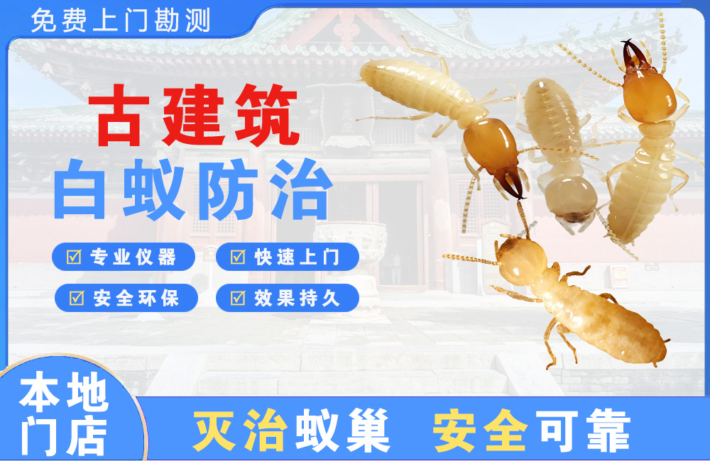 南充古建筑白蚁防治