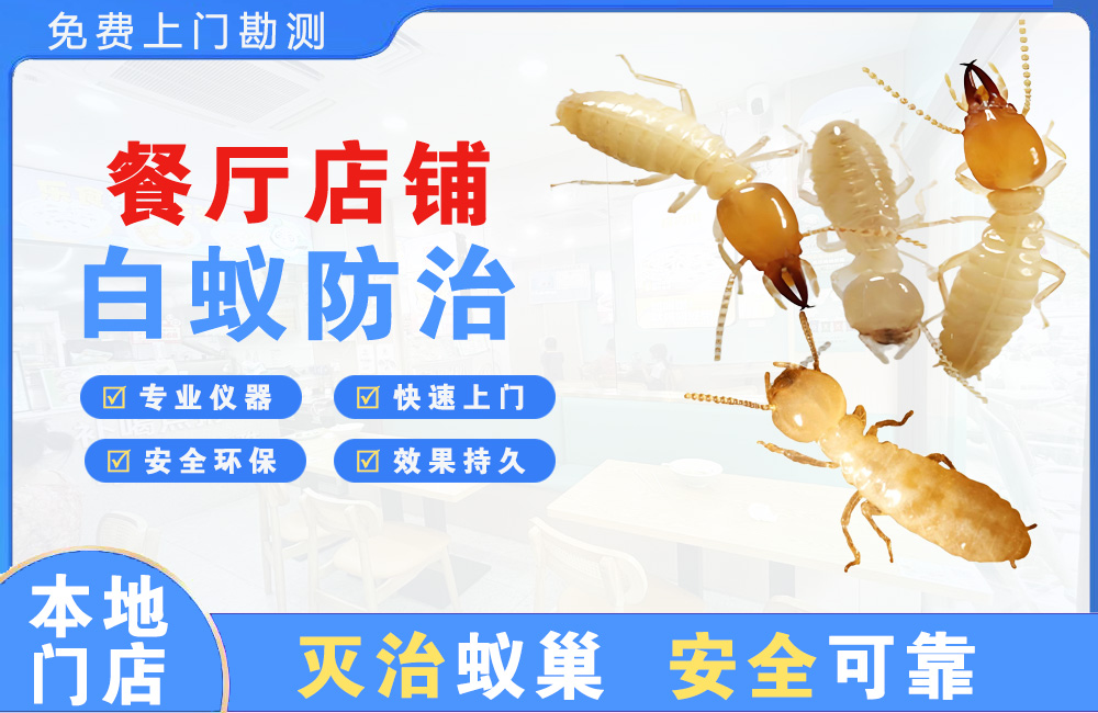 南充餐厅店铺白蚁防治